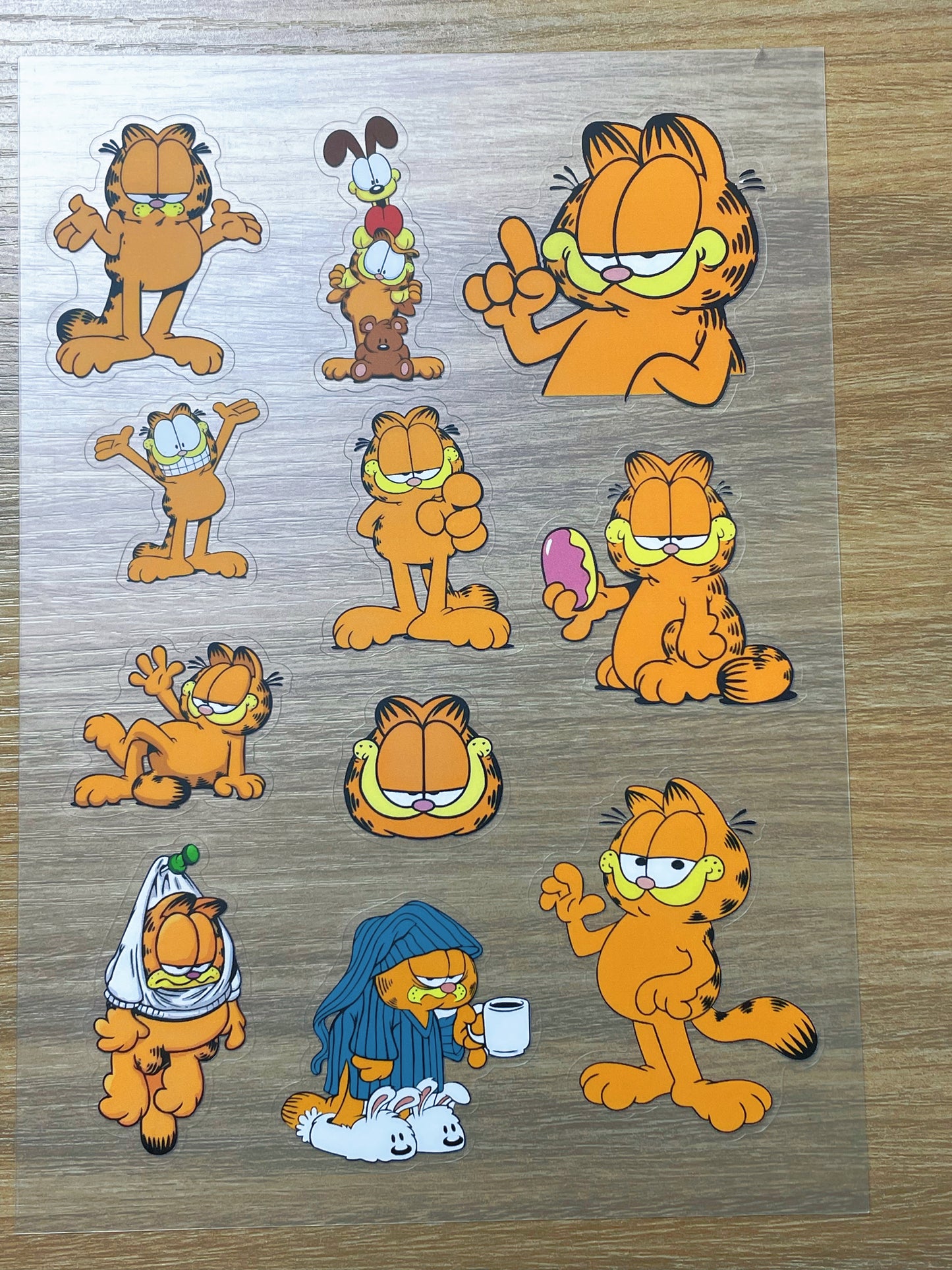 S63 Garfield sticker pet precut A5 size 2 pieces