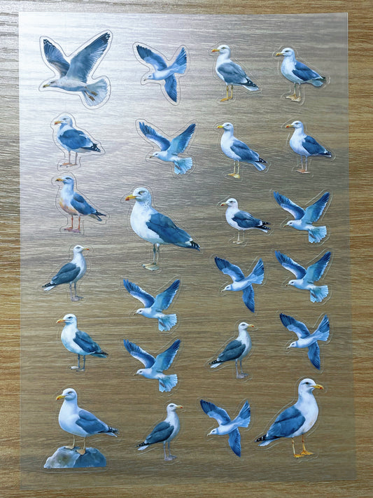 S68 Seagull sticker pet precut A5 size 2 pieces