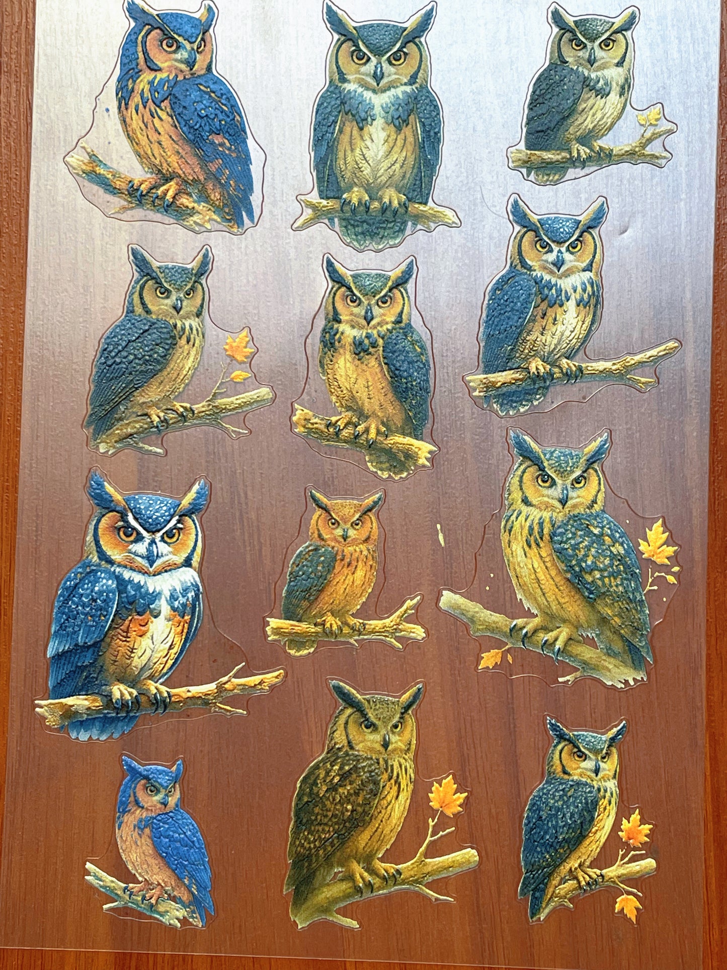 E-130 Woodland-Owl Portraits 3D Embossed sticker 1 piece