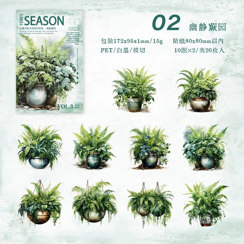 S-6 The Green Fern Spring