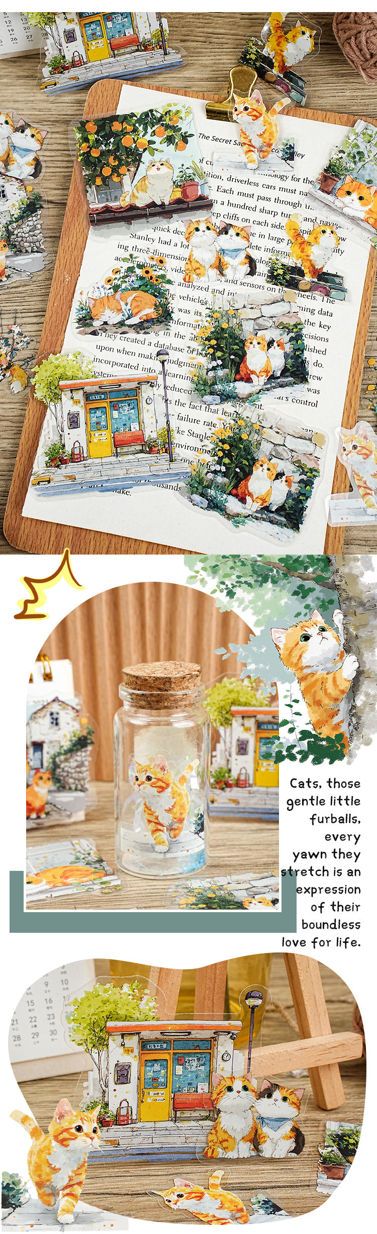 S-12 Meow Meow's Daily Series Cute Cartoon Theme Animal PET Sticker 6Style