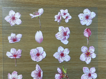 E-75 Spring Peach Letter 3D Embossed sticker 1 piece