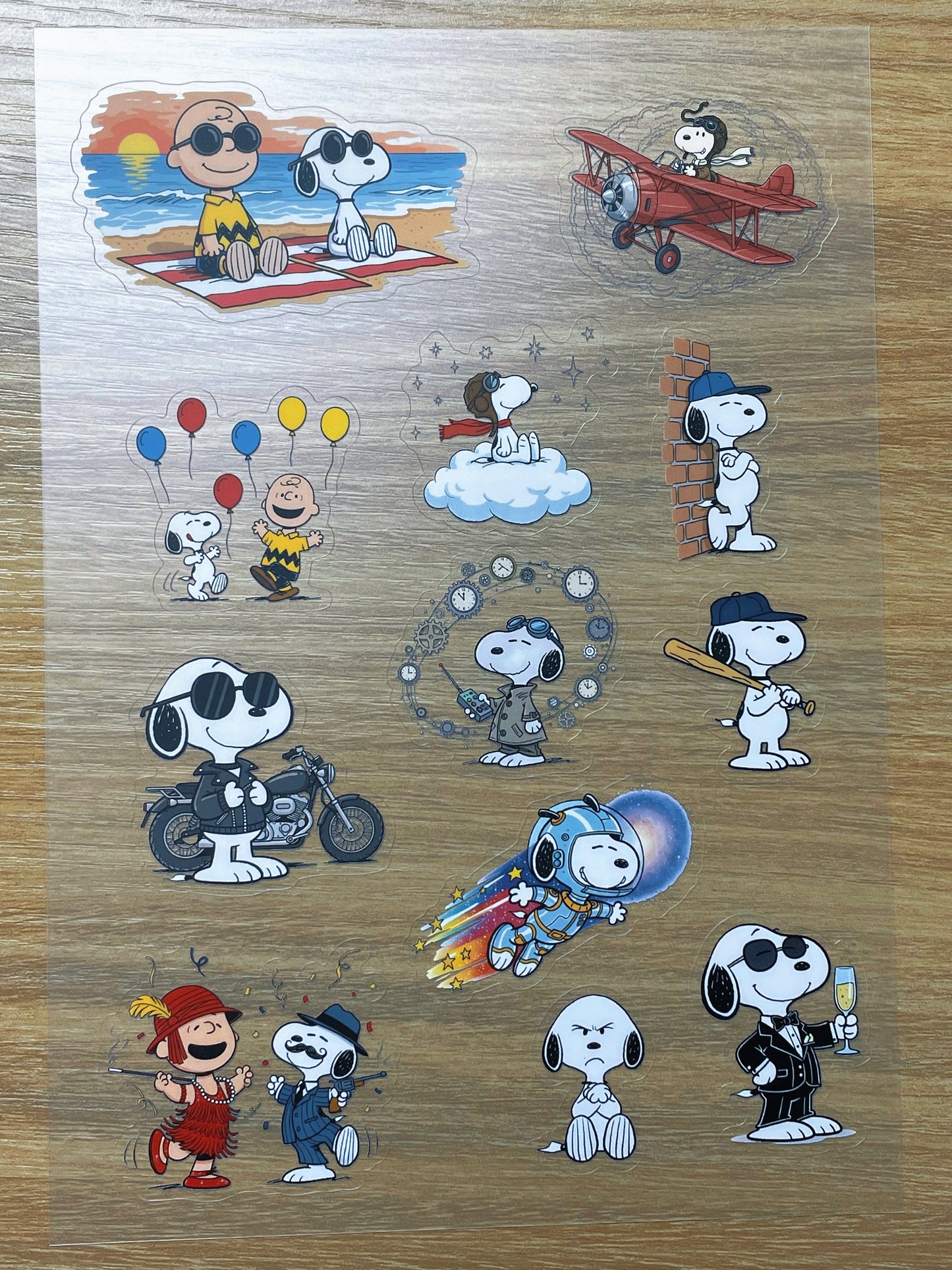 S64 Snoopy  sticker pet precut A5 size 6 pieces