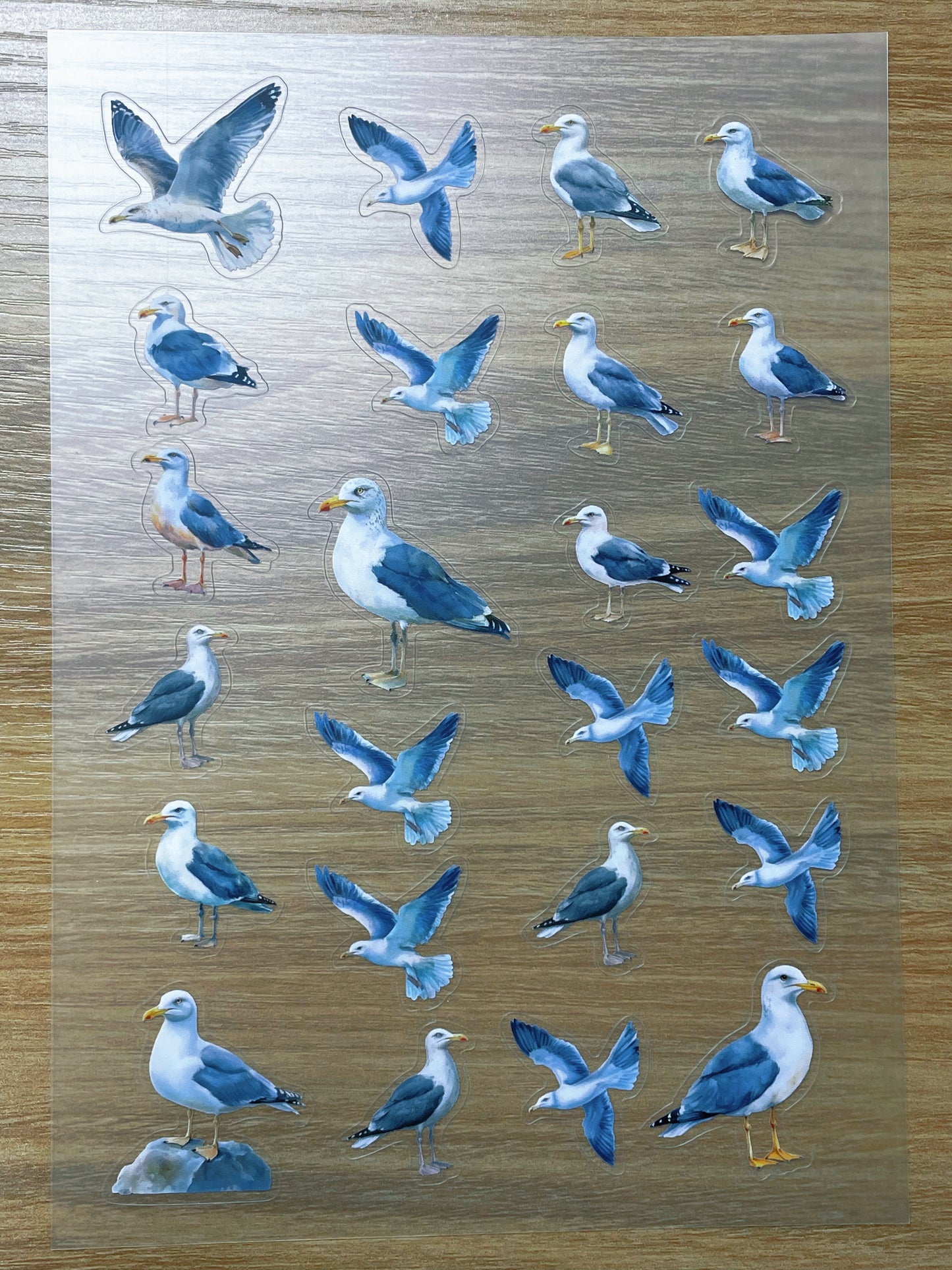 S68 Seagull  sticker pet precut A5 size 2 pieces