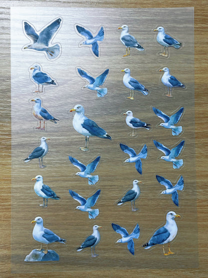 S68 Seagull  sticker pet precut A5 size 2 pieces