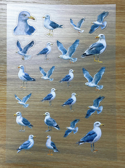 S68 Seagull  sticker pet precut A5 size 2 pieces