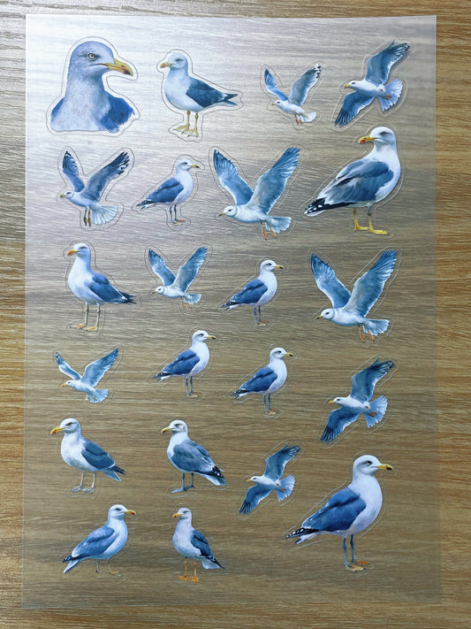 S68 Seagull  sticker pet precut A5 size 2 pieces