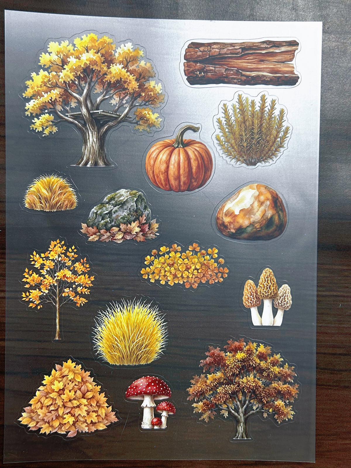 S-200 Autumn Tree Landscape sticker pet precut A5 size 6 pieces