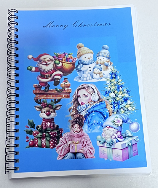 Sticker Book-1  Merry Christmas 20 pieces (10 pet precut, 10 washi),A5 size