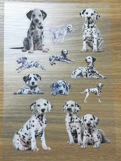 S96 Dalmatians sticker pet precut A5 size 5 pieces