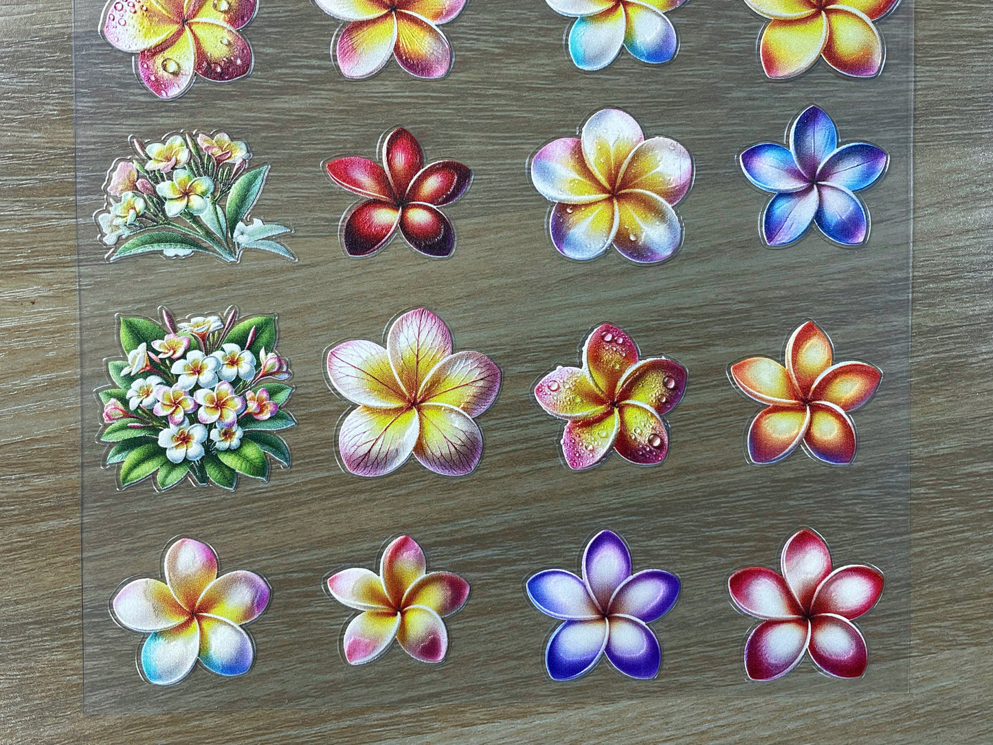 E-78 Rainbow Plumeria 3D Embossed sticker 1 piece
