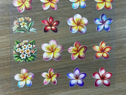 E-78 Rainbow Plumeria 3D Embossed sticker 1 piece