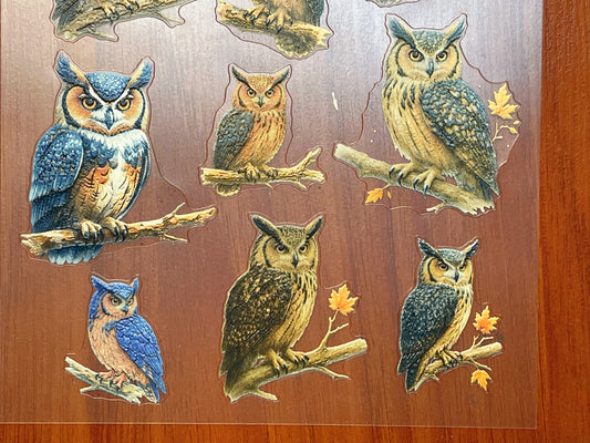 E-130 Woodland-Owl Portraits 3D Embossed sticker 1 piece