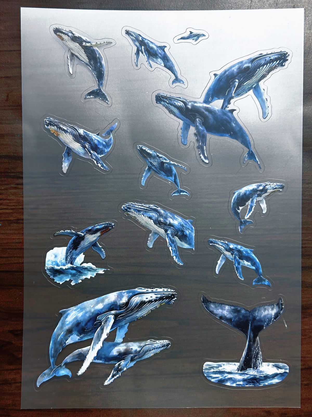 S-178 Blue Whale sticker pet precut A5 size 2 pieces