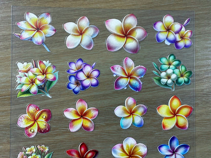 E-78 Rainbow Plumeria 3D Embossed sticker 1 piece