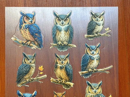 E-130 Woodland-Owl Portraits 3D Embossed sticker 1 piece