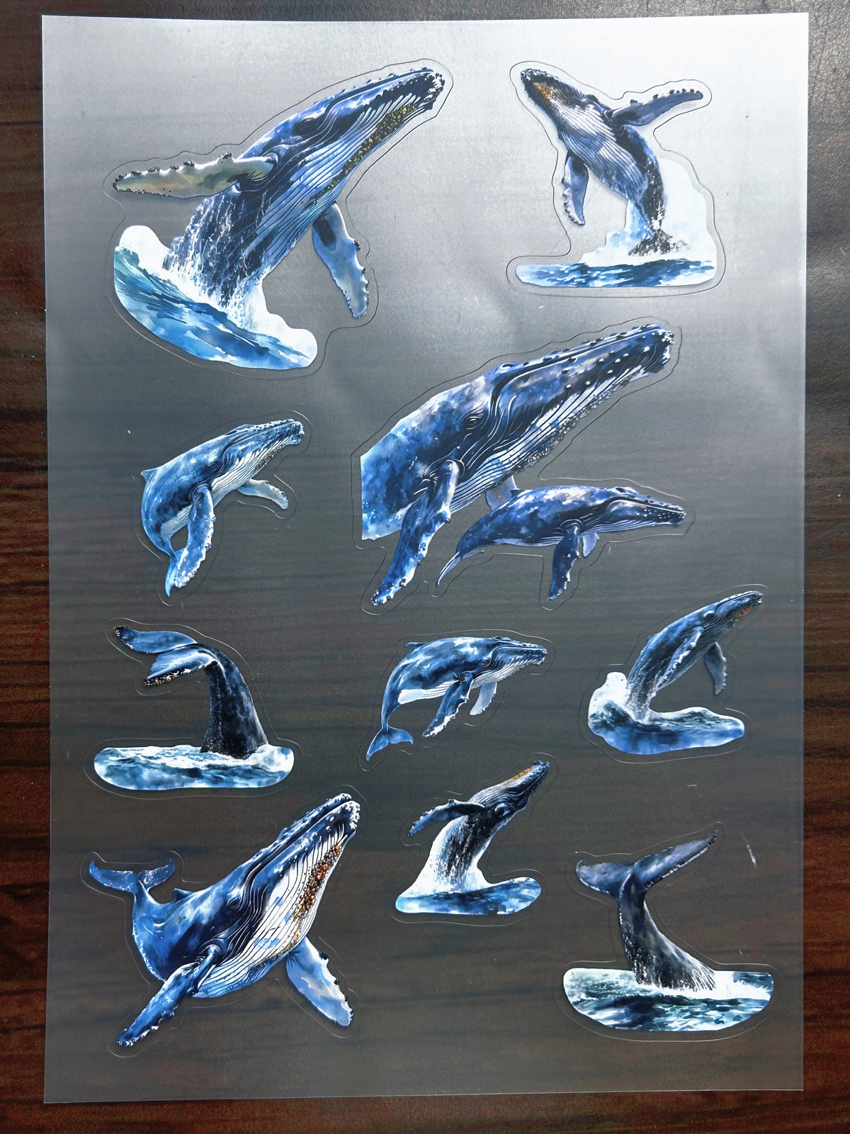 S-178 Blue Whale sticker pet precut A5 size 2 pieces