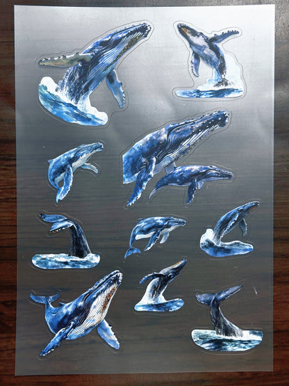 S-178 Blue Whale sticker pet precut A5 size 2 pieces