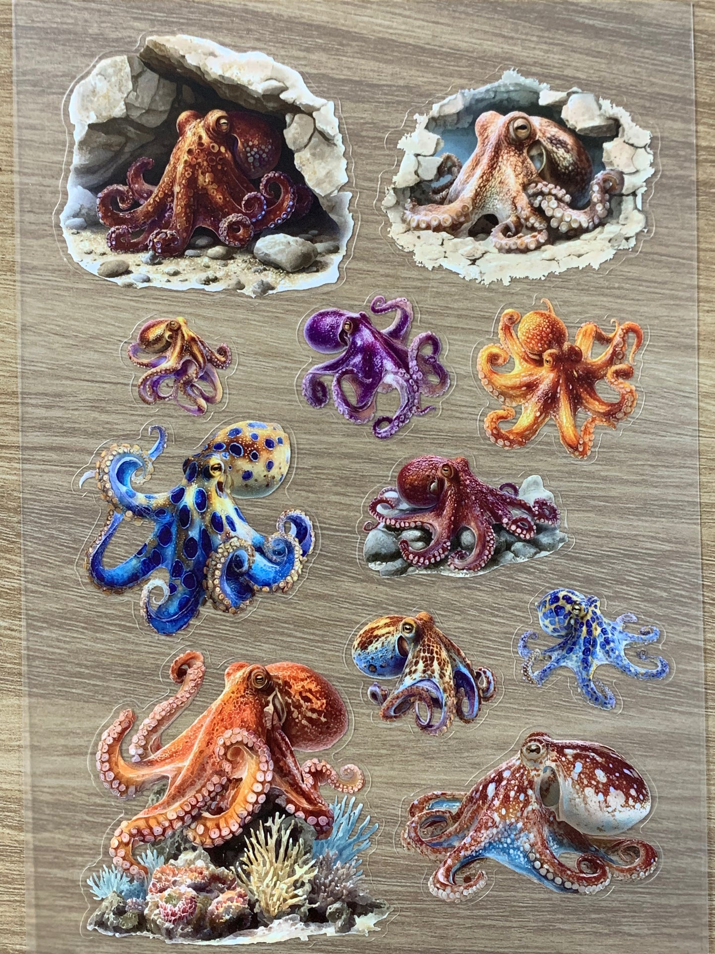 S50 Deep Sea Octopus Atlas  sticker pet precut A5 size 2 pieces