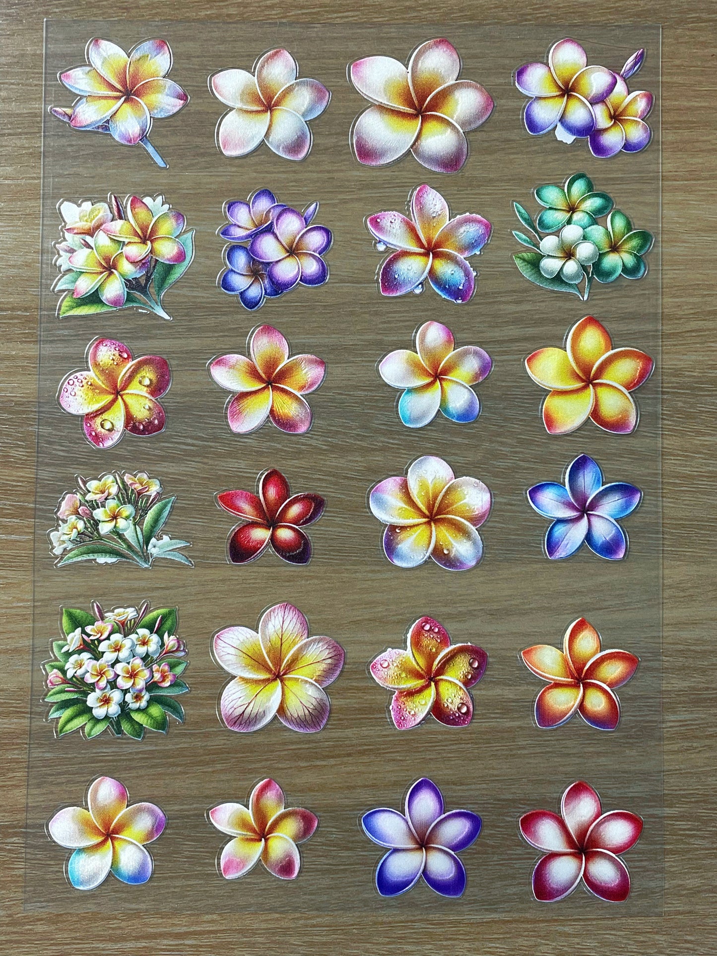 E-78 Rainbow Plumeria 3D Embossed sticker 1 piece