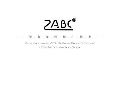 S-49  Seasonal Light Painting Series Sticker Pack 4Style