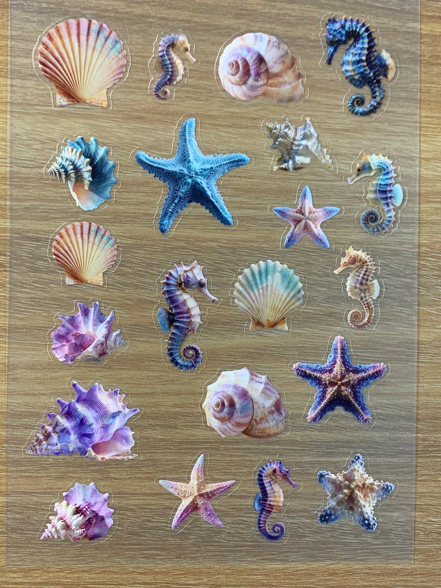 S53 conch  sticker pet precut A5 size 2 pieces