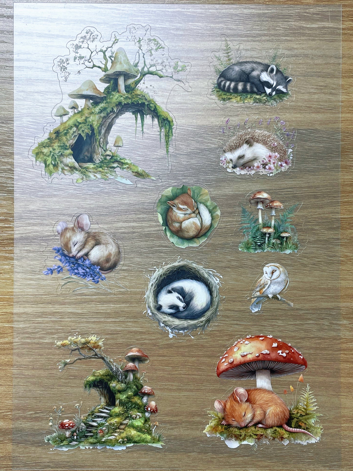 S60 Forest Sleeping Creatures  sticker pet precut A5 size 3 pieces