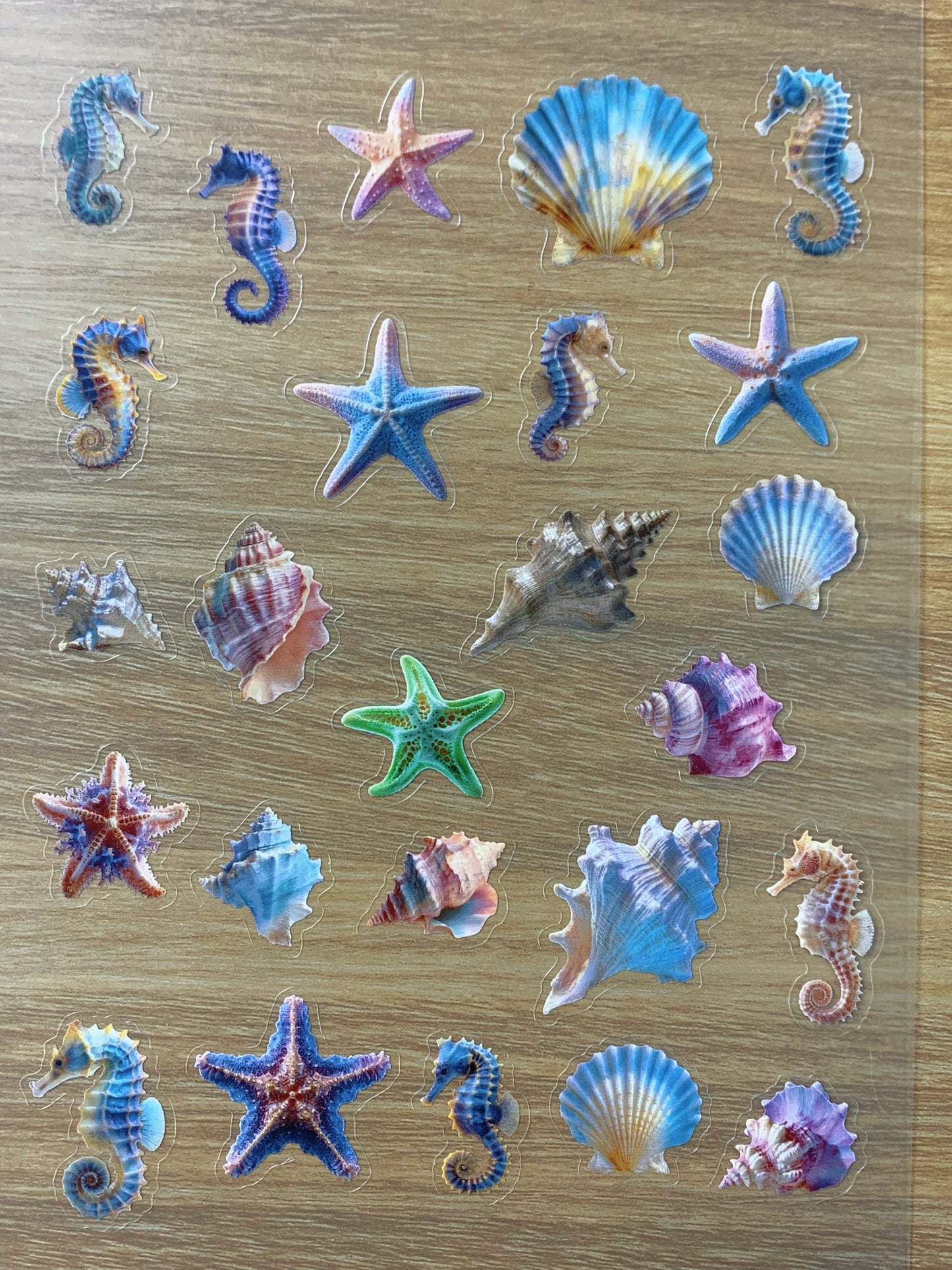 S53 conch  sticker pet precut A5 size 2 pieces