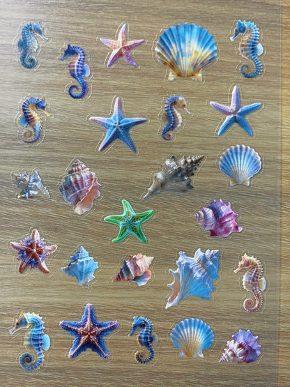 S53 conch  sticker pet precut A5 size 2 pieces