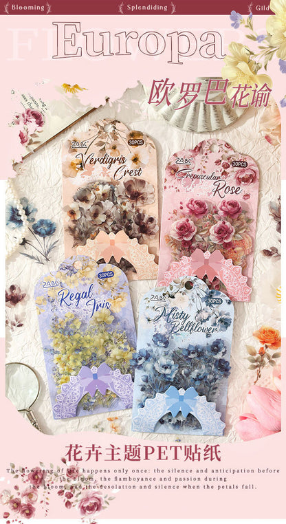 S-41 Flower Series Floral Journal Decoration Collage Material Base Stickers