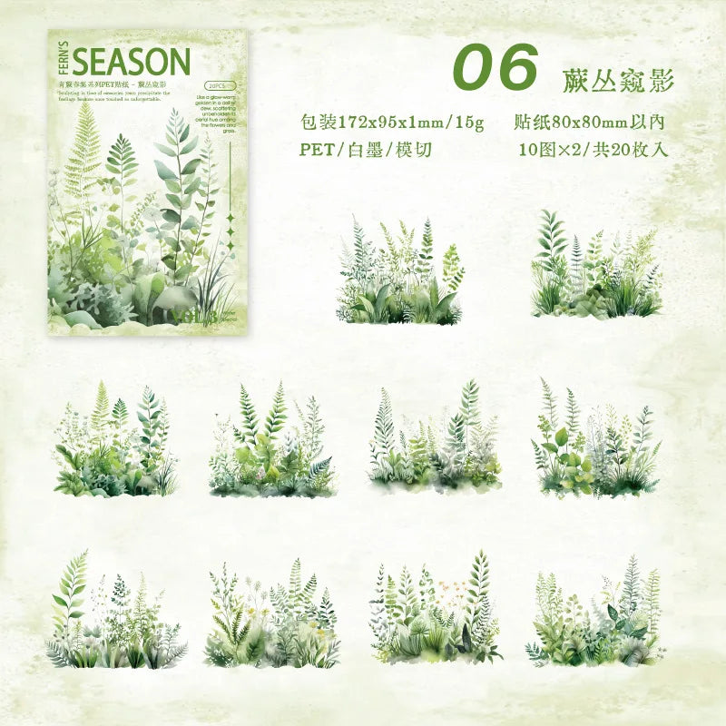 S-6  The Green Fern Spring