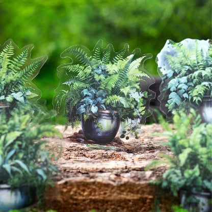 S-6  The Green Fern Spring