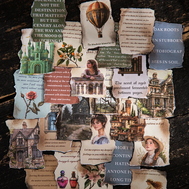 S-81 Literary Library Series  cute  washi sticker