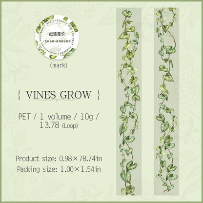 T-3 25mm*2m PET Tapes Garden Path