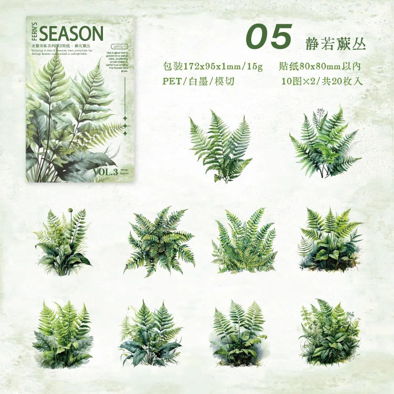 S-6  The Green Fern Spring