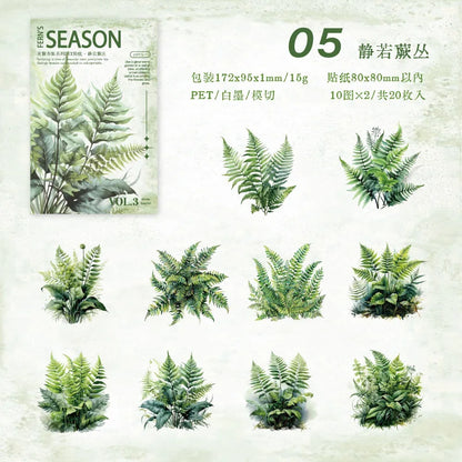 S-6  The Green Fern Spring