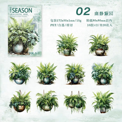 S-6  The Green Fern Spring