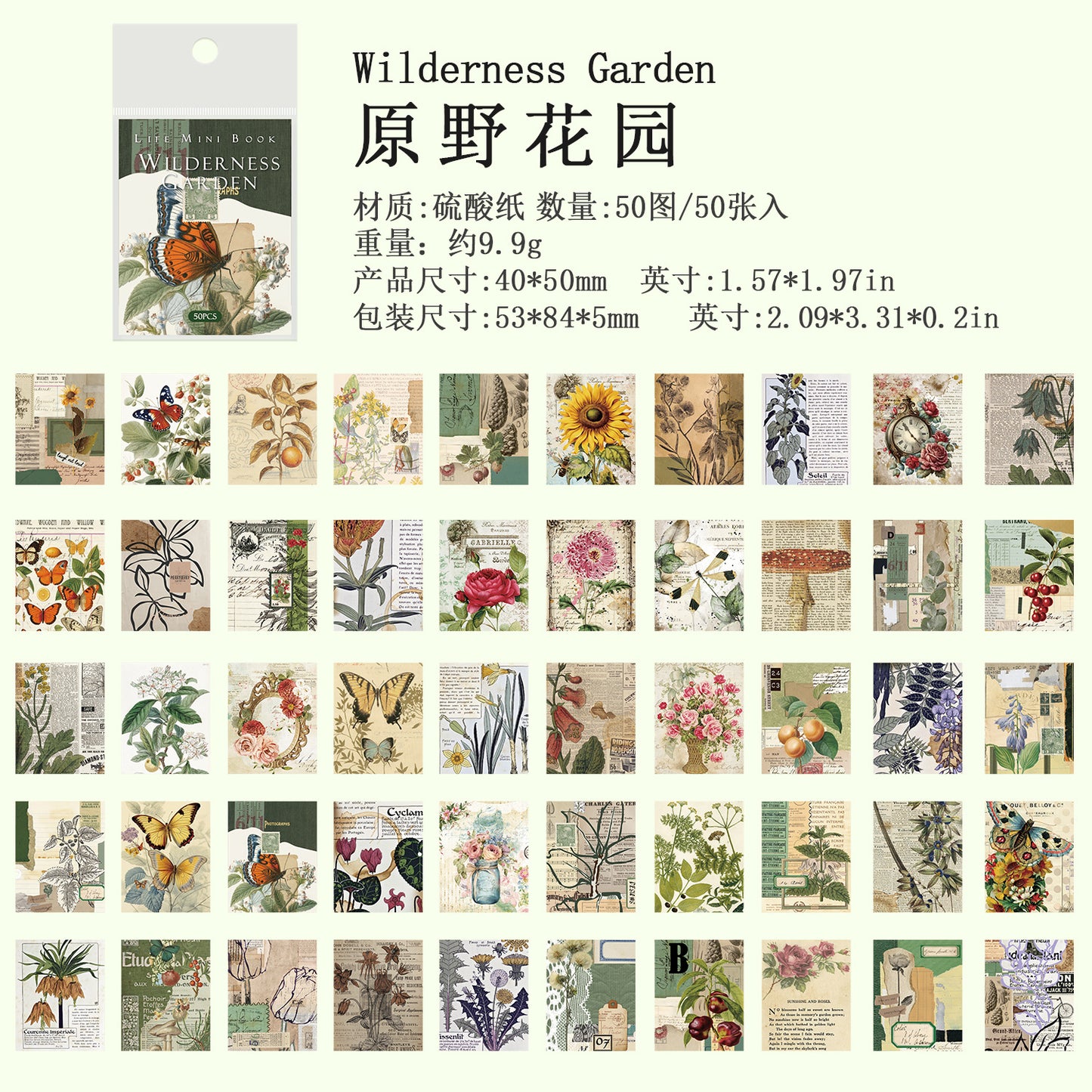 P-12 Ancient Forest Sulfuric Acid Paper Material Pack Life mini Book Series