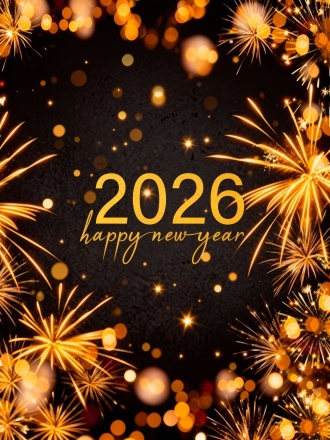 Sticker Book-4 New Year Sticker Book (10 pieces pet precut and 10 pieces washi background stickers)