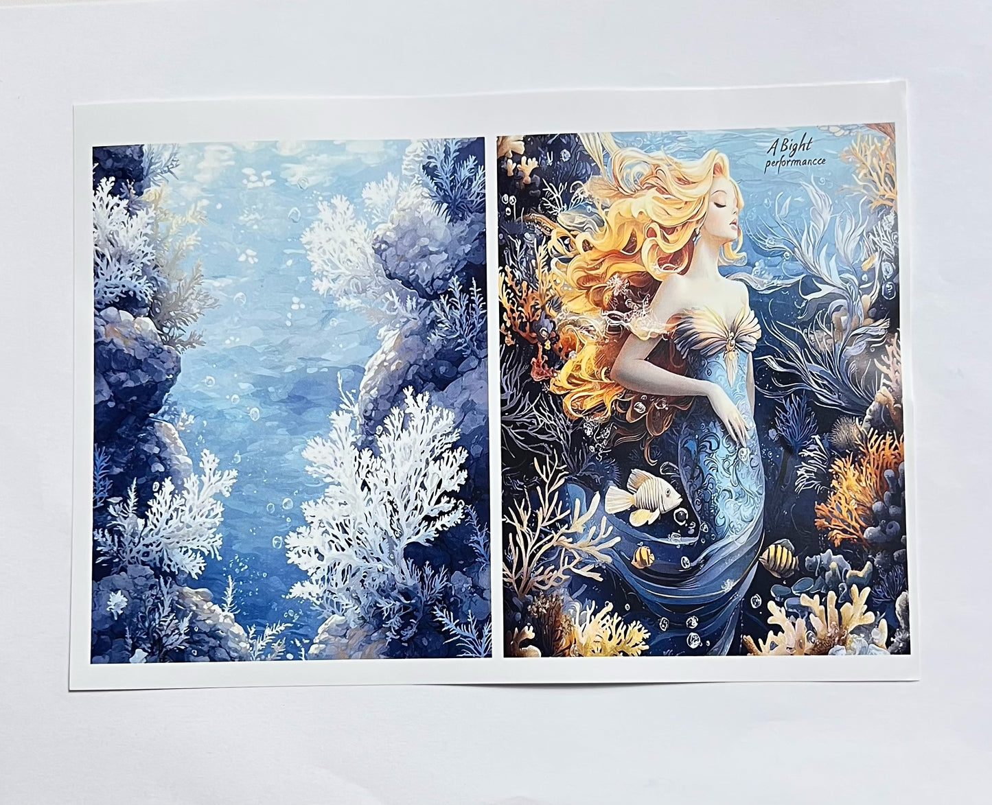 P-4 Underwater legend paper (photo paper A5 size)